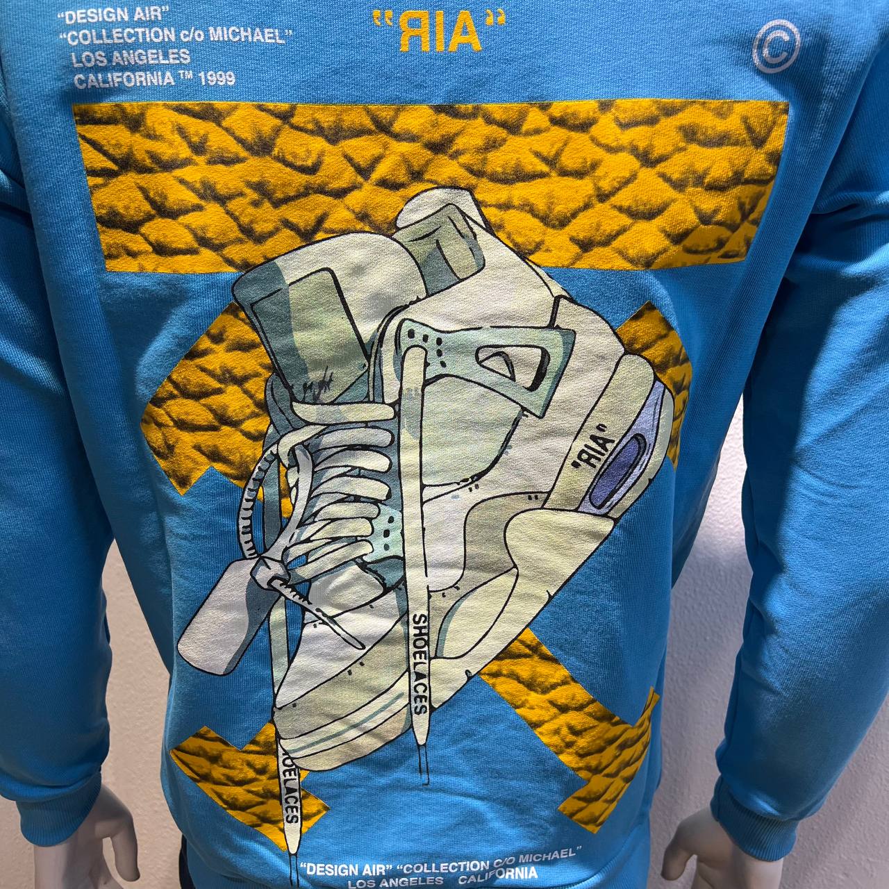 Felpa azzurra con scarpa